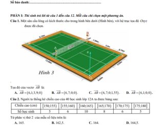 Đề cuối học kỳ 1 Toán 12 năm 2024 2025 trường THPT Nguyễn Du BR VT