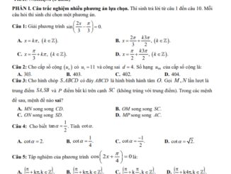 Đề giữa học kì 1 Toán 11 năm 2024 2025 trường THPT Võ Thị Sáu TP HCM