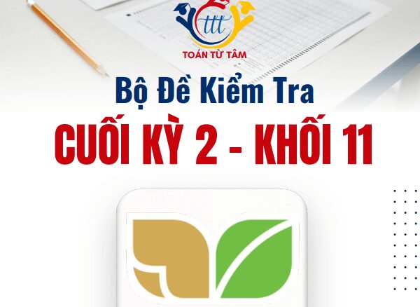Bộ đề kiểm tra cuối kỳ 2 Toán 11 KNTTVCS năm học 2024 2025
