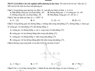 Đề giữa học kì 2 Toán 11 năm 2024 2025 trường THPT Lê Lợi Kon Tum